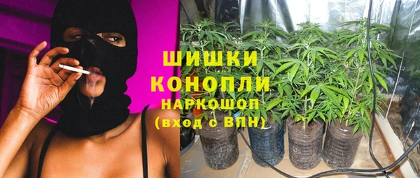 ешки Алексин