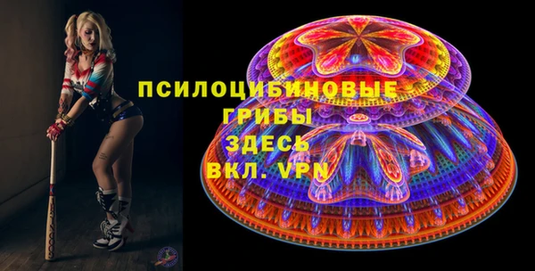 ешки Алексин