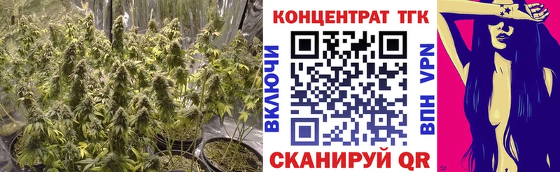 ТГК концентрат  сколько стоит  Фрязино 