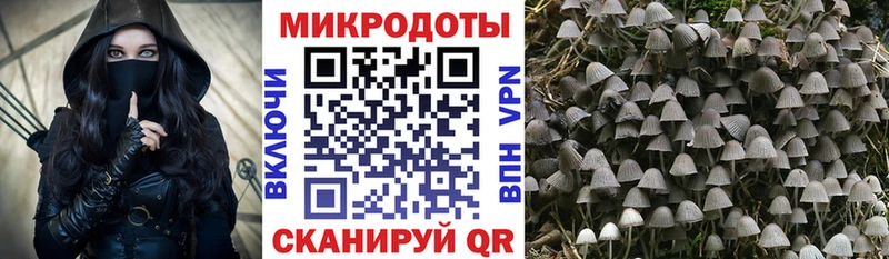 blacksprut как зайти  Фрязино  Галлюциногенные грибы Cubensis 