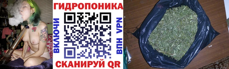 гидра ссылки  Фрязино  Канабис планчик 